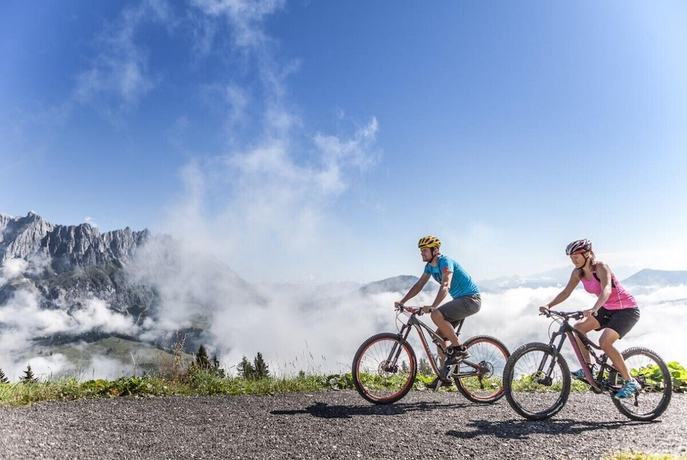 Imagen general del Hotel Alpenrose M&uuml;hlbach am Hochk&ouml;nig. Foto 6
