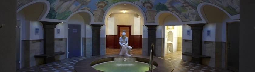 Imagen general del Hotel Alpenrose - Wellnessresort. Foto 2