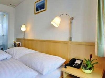 Imagen general del Hotel Alpenruh. Foto 3