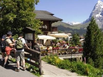 Imagen general del Hotel Alpenruh. Foto 8