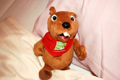 Imagen de la habitación del Hotel Alpensonne. Foto 8