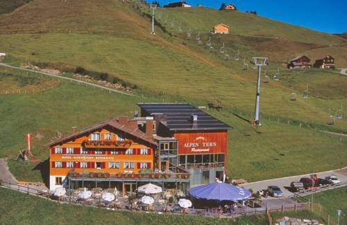 Imagen general del Hotel Alpenstern. Foto 6