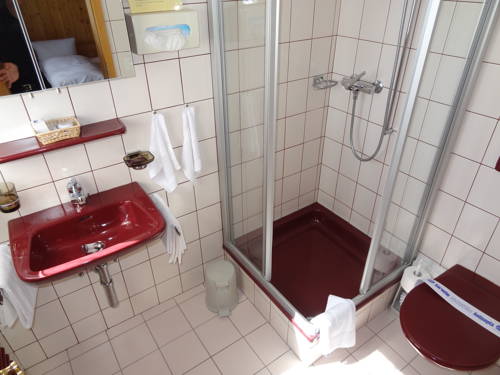 Imagen de la habitación del Hotel Alpfrieden. Foto 9