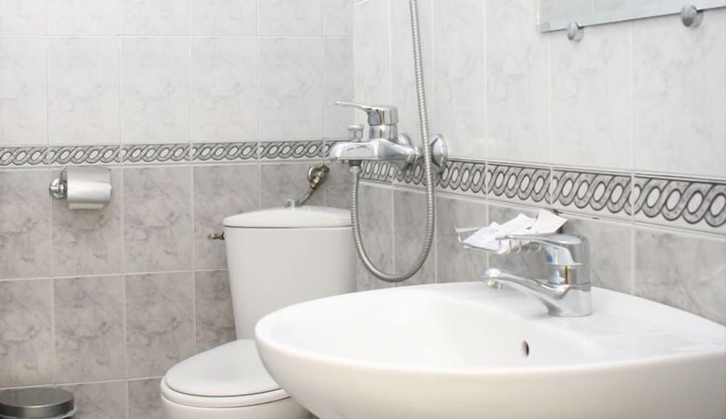 Imagen de la habitación del Hotel Alpha, Blagoevgrad. Foto 6