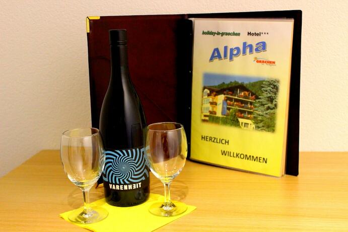 Imagen general del Hotel Alpha, Gr&auml;chen. Foto 4