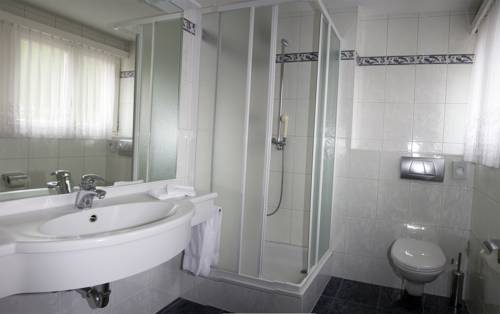 Imagen de la habitación del Hotel Alpha, SAAS-GRUND. Foto 4