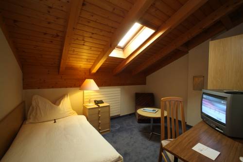 Imagen de la habitación del Hotel Alpha Thun. Foto 13