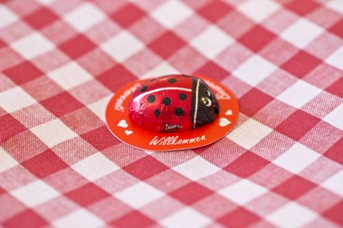 Imagen de la habitación del Hotel Alphotel Mittersill. Foto 2