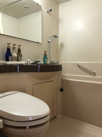 Imagen de la habitación del Hotel Alpico Plaza. Foto 12