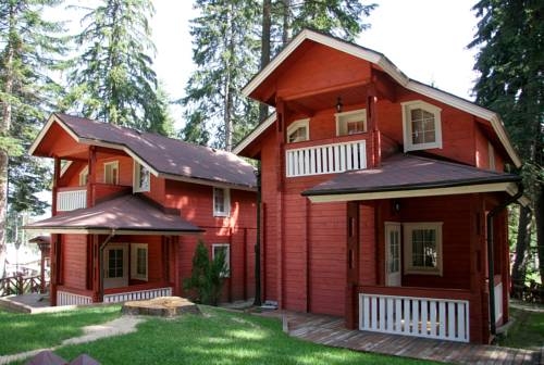 Imagen general del Hotel Alpin, Borovets. Foto 15