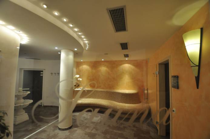 Imagen de la piscina del Hotel Alpin. Foto 19
