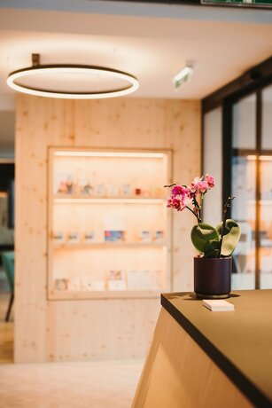 Imagen general del Hotel Alpin - Studios and Suites. Foto 3