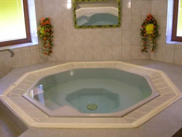 Imagen general del Hotel Alpin Traubenwirt. Foto 2