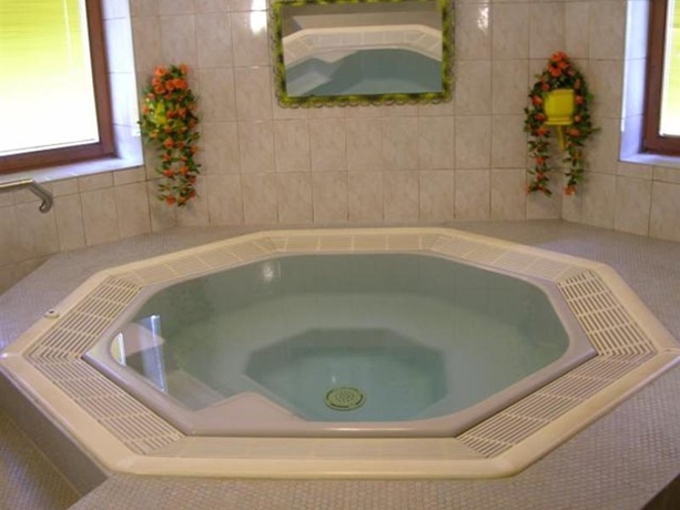 Imagen general del Hotel Alpin Traubenwirt. Foto 16