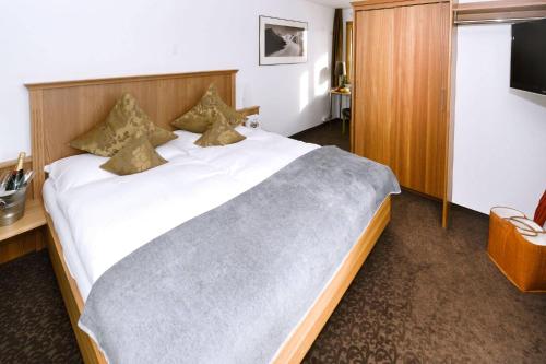 Imagen general del Hotel Alpina, Fiesch. Foto 3