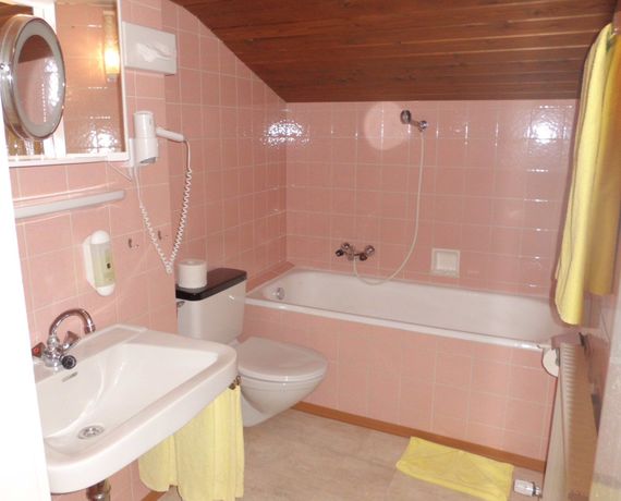 Imagen de la habitación del Hotel Alpina, Gr&auml;n. Foto 12