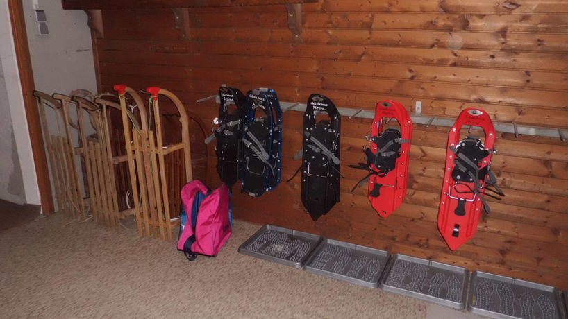 Imagen de los interiores del Hotel Alpina, Gr&auml;n. Foto 15