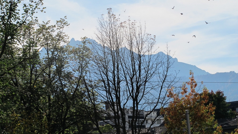 Imagen de los exteriores del Hotel Alpina, Lucerna. Foto 9