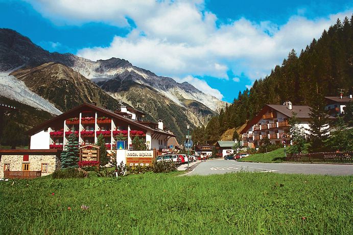 Imagen general del Hotel Alpina Mountain Resort. Foto 4