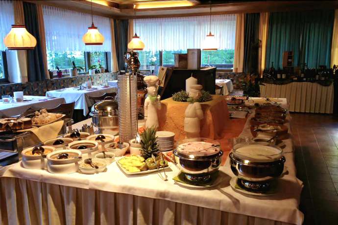 Imagen del bar/restaurante del Hotel Alpina Mountain Resort. Foto 7
