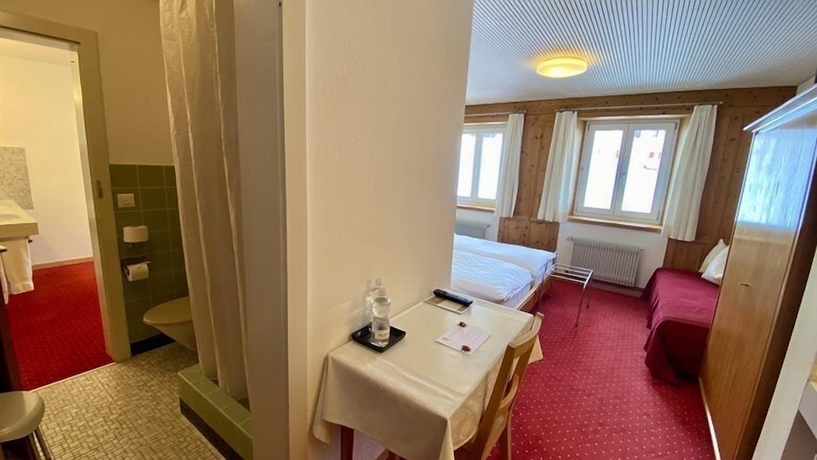 Imagen de la habitación del Hotel Alpina Parpan. Foto 14