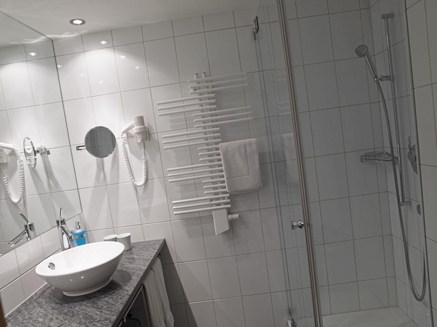 Imagen de la habitación del Hotel Alpina Parpan. Foto 18