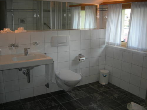 Imagen de la habitación del Hotel Alpina, Pragg-Jenaz. Foto 4