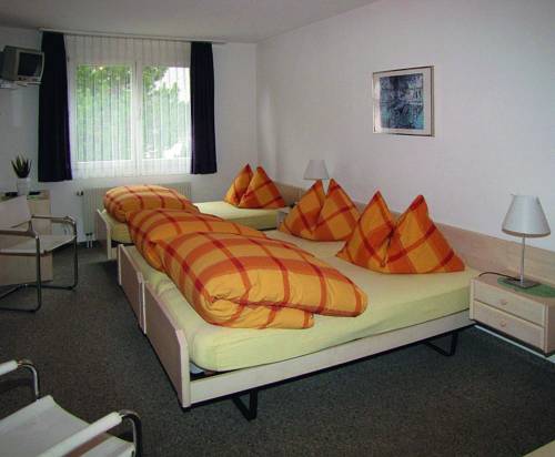 Imagen de la habitación del Hotel Alpina, Pragg-Jenaz. Foto 9