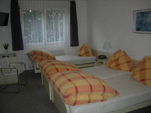 Imagen de la habitación del Hotel Alpina, Pragg-Jenaz. Foto 12
