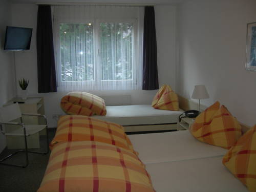 Imagen de la habitación del Hotel Alpina, Pragg-Jenaz. Foto 13