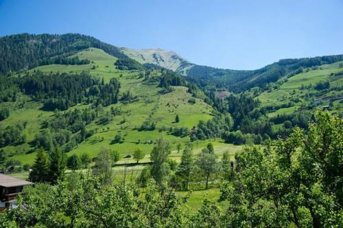 Imagen de la habitación del Hotel Alpina, Rauris. Foto 3