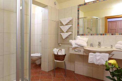 Imagen de la habitación del Hotel Alpina Wagrain. Foto 14