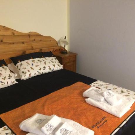 Imagen general del Hotel Alpine Forest & Restaurant. Foto 5