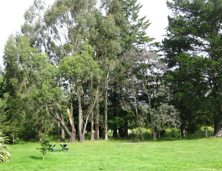 Imagen general del Hotel Alpine Holiday Apartments & Campground. Foto 15