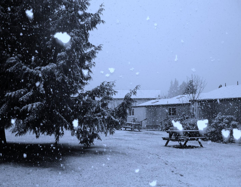 Imagen general del Hotel Alpine Holiday Apartments & Campground. Foto 16
