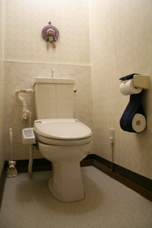 Imagen de la habitación del Hotel Alpine Inn Mizushiro. Foto 15