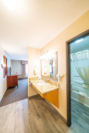 Imagen de la habitación del Hotel Alpine Inn and Suites, Gunnison. Foto 13