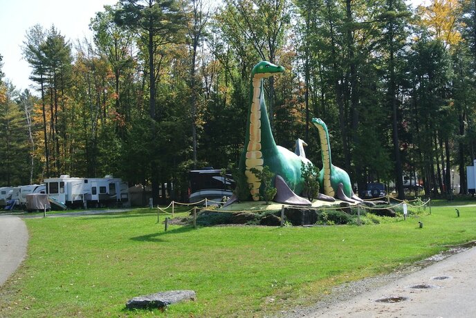 Imagen general del Hotel Alpine Lake RV Resort. Foto 6