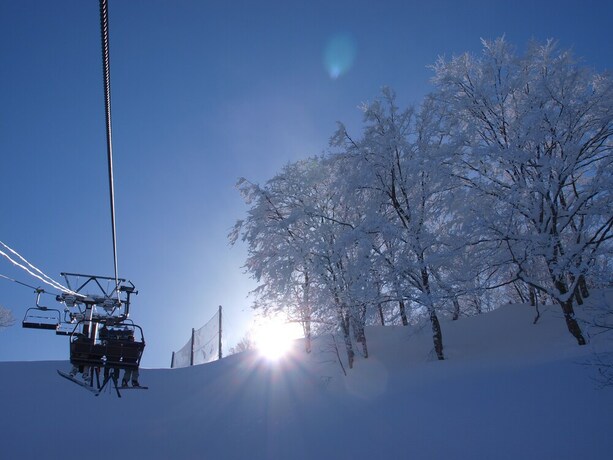 Imagen general del Hotel Alpine Lodge, Hakuba. Foto 6
