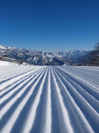 Imagen general del Hotel Alpine Lodge, Hakuba. Foto 9