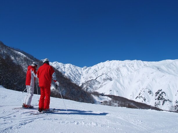 Imagen general del Hotel Alpine Lodge, Hakuba. Foto 11