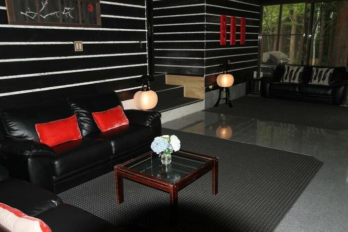 Imagen general del Hotel Alpine Lodge, Hakuba. Foto 12