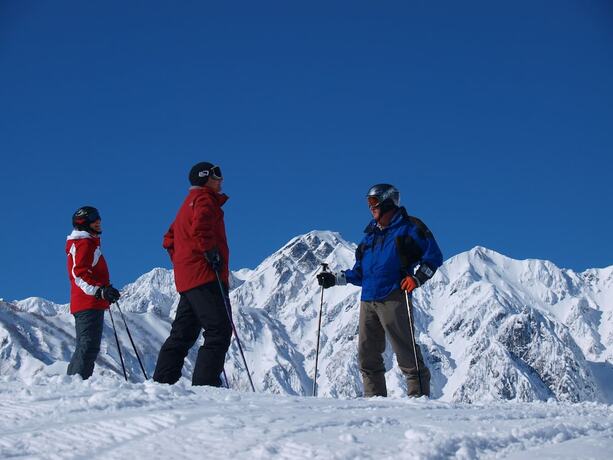 Imagen general del Hotel Alpine Lodge, Hakuba. Foto 18