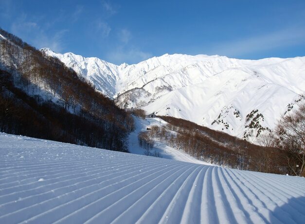 Imagen general del Hotel Alpine Lodge, Hakuba. Foto 19