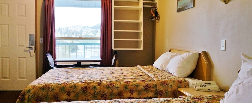 Imagen de la habitación del Hotel Alpine Motel. Foto 8