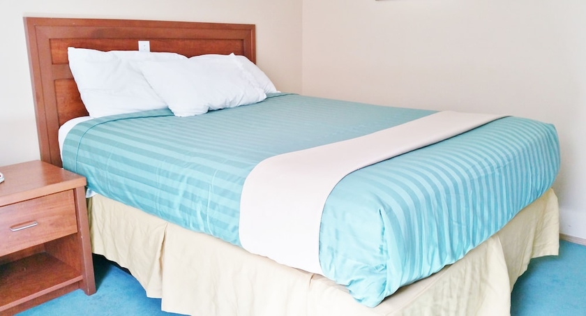 Imagen de la habitación del Hotel Alpine Motel. Foto 10