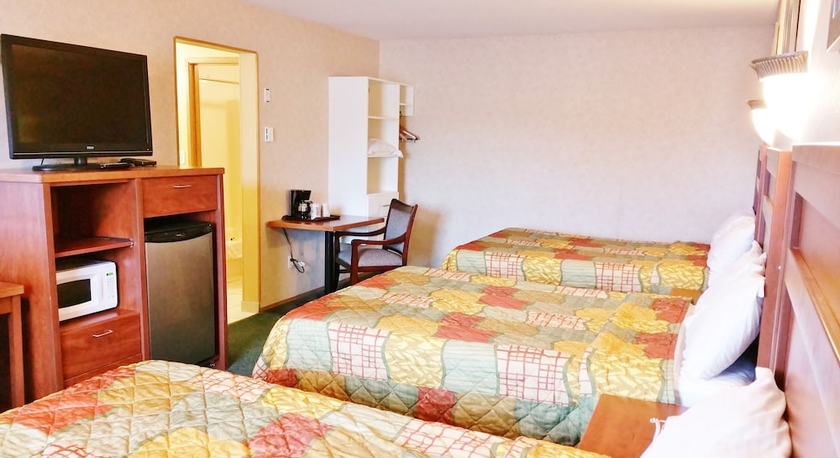 Imagen de la habitación del Hotel Alpine Motel. Foto 12