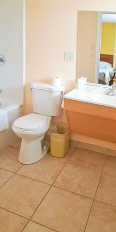 Imagen general del Hotel Alpine Motel, Wisconsin Dells. Foto 4