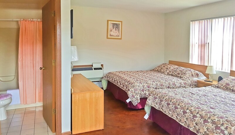 Imagen de la habitación del Hotel Alpine Motel, Wisconsin Dells. Foto 18