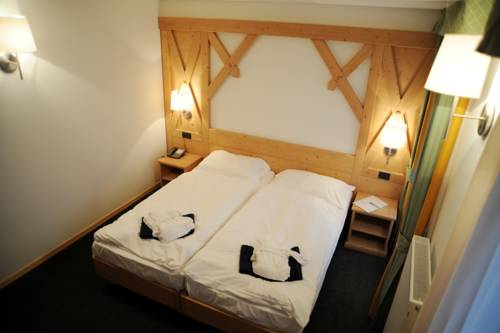 Imagen de la habitación del Hotel Alpine Mugon. Foto 4